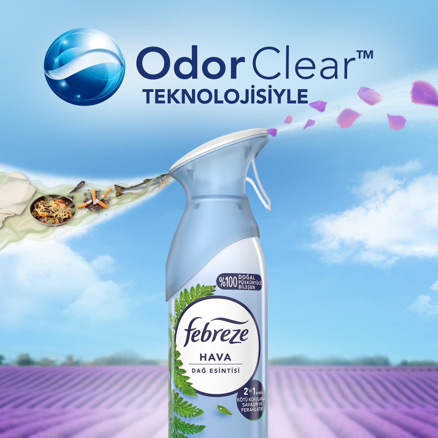 Febreze Aerosol Dağ Esintisi 185ml 