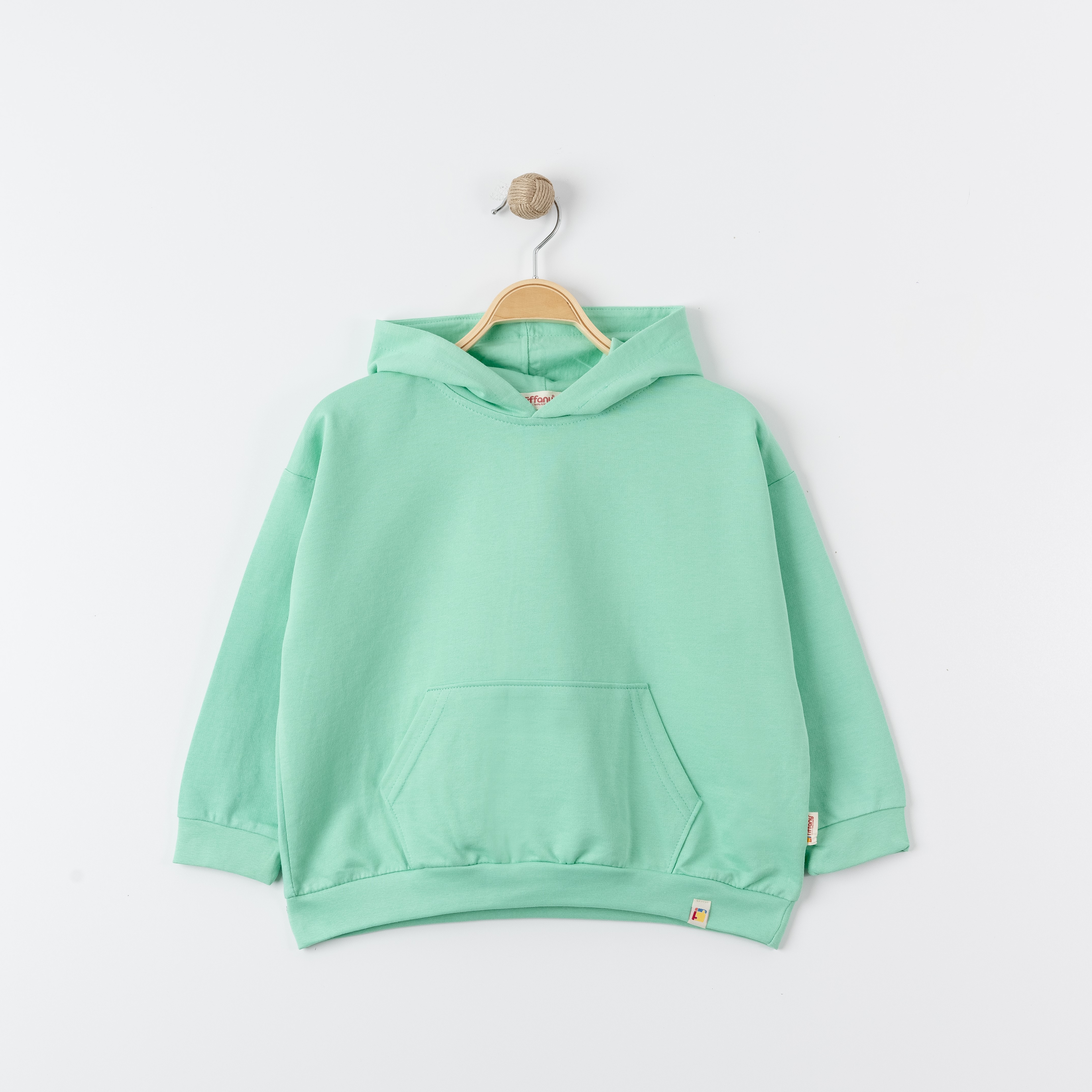 Tiffany Oversize Theme Sweatshirt Mint